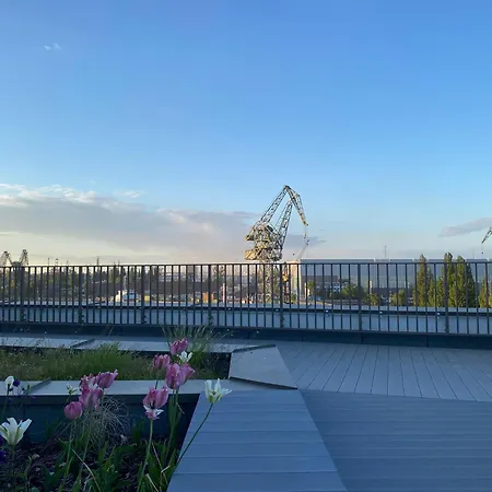 Zurawie Ii Popieluszki Gdańsk